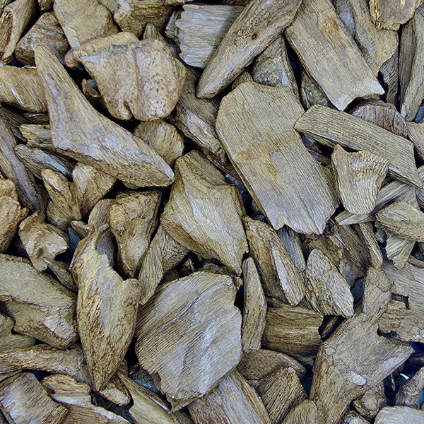 عود ماليزي
